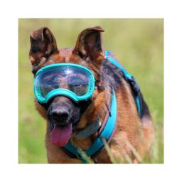 Hundebrille REX Specs V2 Sol & Sikkerhedsbrille LARGE Bighorn Blue